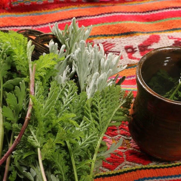 A bowl of herbs and some greens on a table.