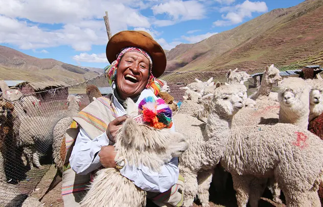 A man holding a bunch of sheep in his hands.