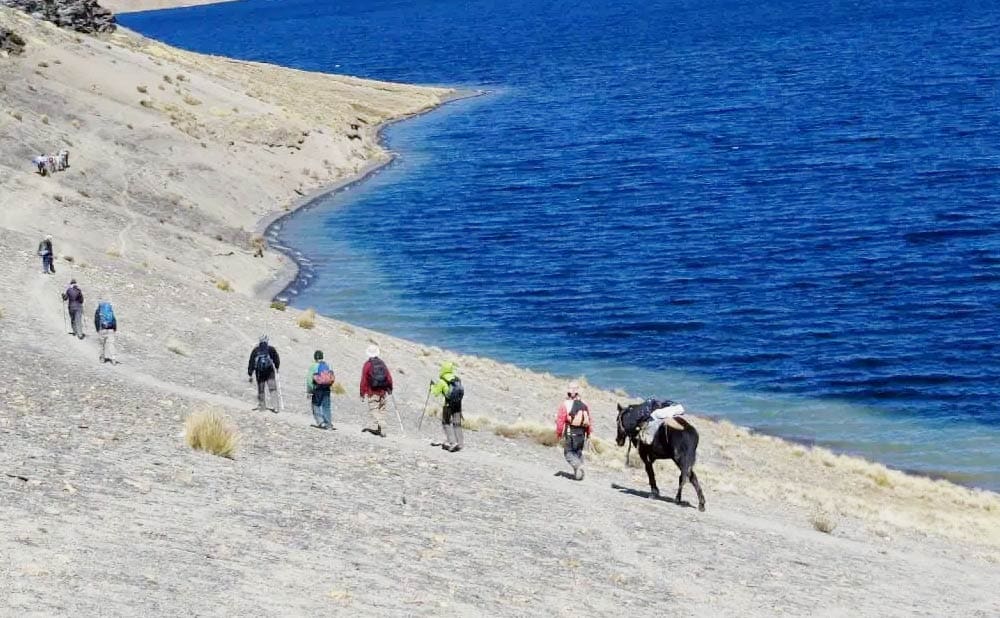 A group of people walking on the beach with a horse.
